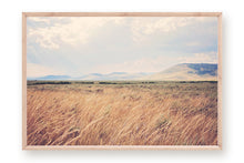 Load image into Gallery viewer, MONTANA AFTER THE RAIN