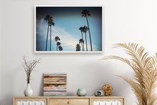 Load image into Gallery viewer, CALIFORNIA PALM TREES