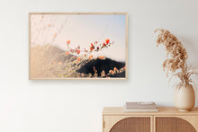 Load image into Gallery viewer, POPPIES IN THE SAN TAN MOUNTAINS 1