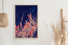 Load image into Gallery viewer, WILD POPPIES AT TWILIGHT