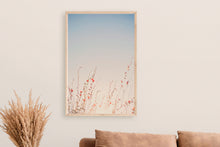 Load image into Gallery viewer, WILD POPPIES IN ARIZONA