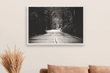 Load image into Gallery viewer, A ROAD IN BIG BASIN REDWOODS STATE PARK IN BLACK & WHITE