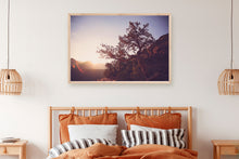 Load image into Gallery viewer, A TREE AT SUNRISE IN SEDONA ARIZONA