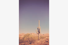 Load image into Gallery viewer, SAGUARO IN THE ARIZONA DESERT