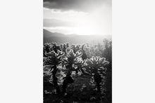 Load image into Gallery viewer, CACTUSGARDEN IN BLACK & WHITE