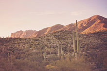 Load image into Gallery viewer, SAGUARO CACTUS AND MOUNTAINS