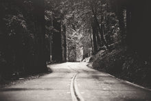 Load image into Gallery viewer, A ROAD IN BIG BASIN REDWOODS STATE PARK IN BLACK & WHITE