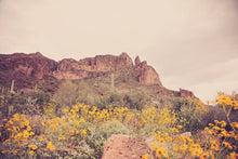 Load image into Gallery viewer, ARIZONA MOUNTAINS & WILD FLOWERS