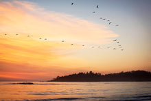 Load image into Gallery viewer, BIRDS FLYING OVER CARMEL BEACH