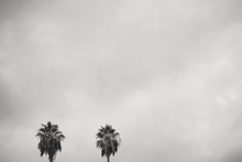 Load image into Gallery viewer, CALIFORNIA PALM TREES 2