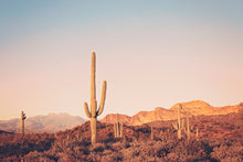 Load image into Gallery viewer, FOUR PEAKS WILDERNESS AT TWILIGHT