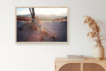 Load image into Gallery viewer, ROOTS OF A TREE IN BRYCE CANYON