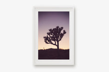 Load image into Gallery viewer, A JOSHUA TREE AT TWILIGHT 2