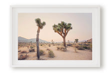 Load image into Gallery viewer, TWO TREES IN JOSHUA TREE