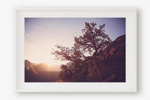 Load image into Gallery viewer, A TREE AT SUNRISE IN SEDONA ARIZONA