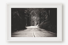 Load image into Gallery viewer, A ROAD IN BIG BASIN REDWOODS STATE PARK IN BLACK & WHITE