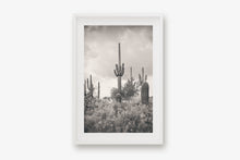 Load image into Gallery viewer, SUPERSTITION WILDERNESS IN BLACK & WHITE