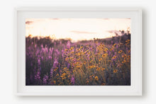 Load image into Gallery viewer, CALIFORNIA SUPER BLOOM