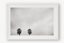 Load image into Gallery viewer, CALIFORNIA PALM TREES 2