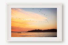 Load image into Gallery viewer, BIRDS FLYING OVER CARMEL BEACH