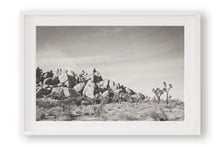Load image into Gallery viewer, JOSHUA TREE ROCK FORMATION IN BLACK & WHITE