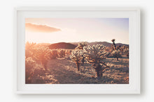 Load image into Gallery viewer, SUNSET IN CHOLLA CACTUS GARDEN