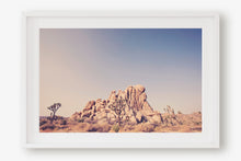 Load image into Gallery viewer, JOSHUA TREE IN SEPTEMBER 2