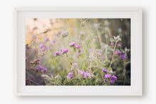Load image into Gallery viewer, CALIFORNIA WILD FLOWERS