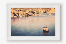 Load image into Gallery viewer, DUCKS ON WATSON LAKE