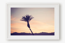 Load image into Gallery viewer, A PALM TREE IN PALM DESERT