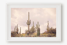 Load image into Gallery viewer, SAGUARO IN THE SUPERSTITION WILDERNESS