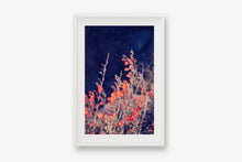 Load image into Gallery viewer, WILD POPPIES AT TWILIGHT