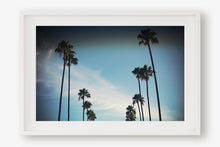 Load image into Gallery viewer, CALIFORNIA PALM TREES