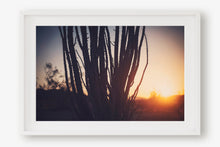 Load image into Gallery viewer, SUNRISE IN JOSHUA TREE