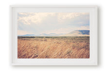 Load image into Gallery viewer, MONTANA AFTER THE RAIN