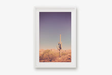 Load image into Gallery viewer, SAGUARO IN THE ARIZONA DESERT