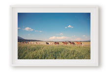 Load image into Gallery viewer, WILD HORSES IN WYOMING