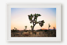 Load image into Gallery viewer, JOSHUA TREE AT TWILIGHT