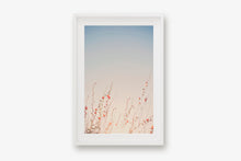 Load image into Gallery viewer, WILD POPPIES IN ARIZONA