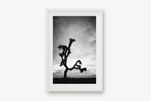 Load image into Gallery viewer, A JOSHUA TREE IN BLACK & WHITE
