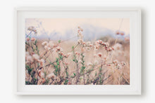 Load image into Gallery viewer, CALIFORNIA WILD FLOWERS IN WILDWOOD CANYON