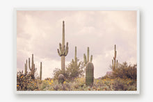 Load image into Gallery viewer, SAGUARO IN THE SUPERSTITION WILDERNESS