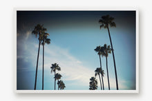 Load image into Gallery viewer, CALIFORNIA PALM TREES