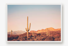Load image into Gallery viewer, FOUR PEAKS WILDERNESS AT TWILIGHT