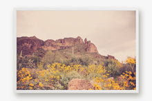 Load image into Gallery viewer, ARIZONA MOUNTAINS & WILD FLOWERS