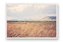 Load image into Gallery viewer, MONTANA AFTER THE RAIN