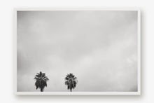Load image into Gallery viewer, CALIFORNIA PALM TREES 2