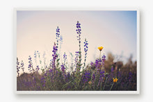 Load image into Gallery viewer, WILD LAVENDER AT TWILIGHT