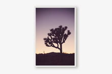 Load image into Gallery viewer, A JOSHUA TREE AT TWILIGHT 2