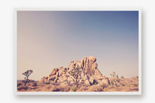 Load image into Gallery viewer, JOSHUA TREE IN SEPTEMBER 2